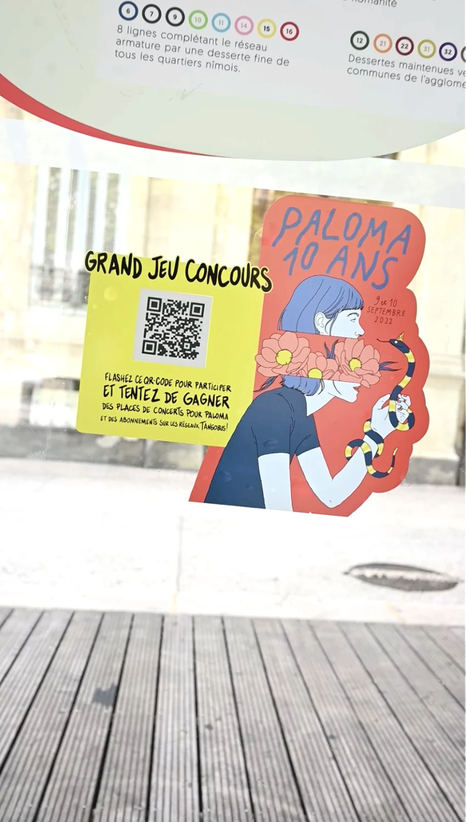 paloma_1